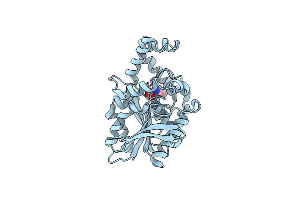 1XRQ image