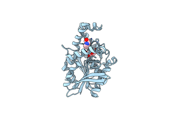 1XRR image