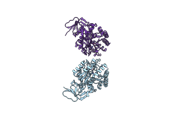 1XRT image