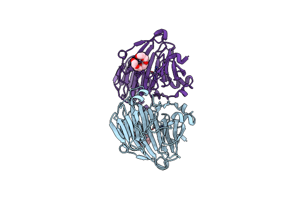 1XRU image
