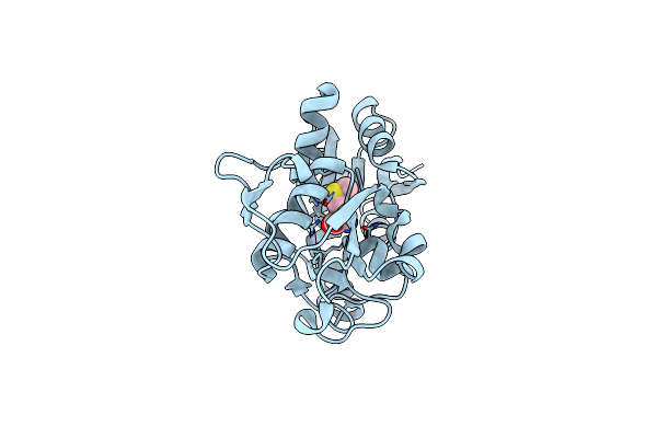 1XS5 image