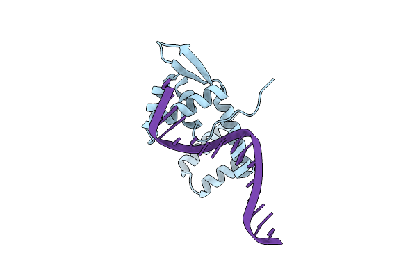 1XSD image