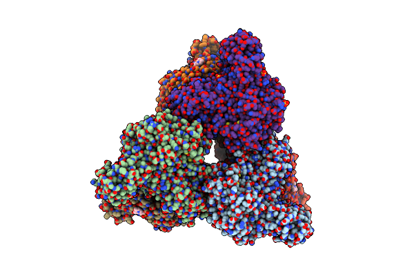 1XSI image