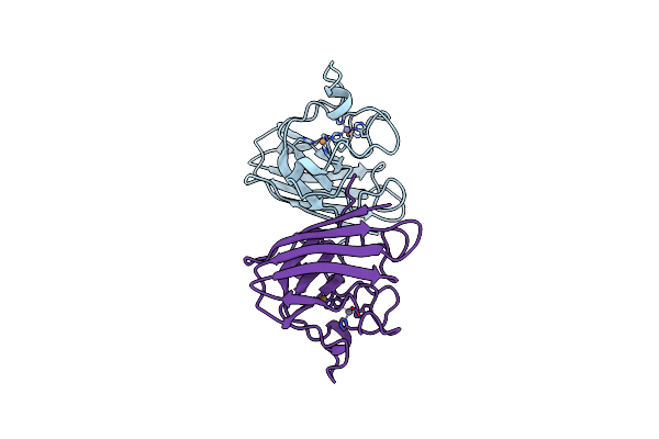 1XSO image