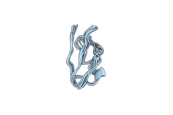 1XSW image