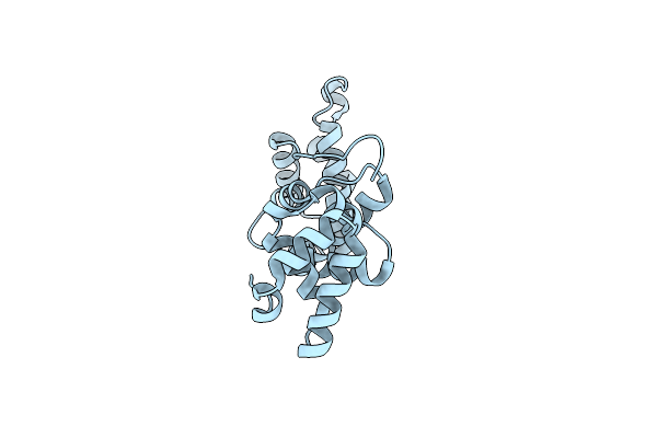 1XT0 image