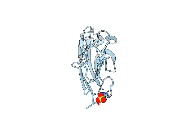 1XT5 image