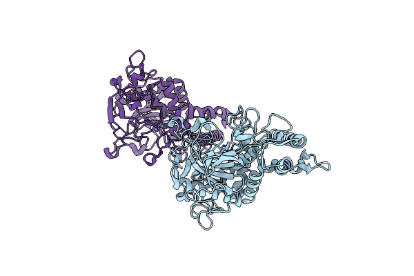 1XTF image