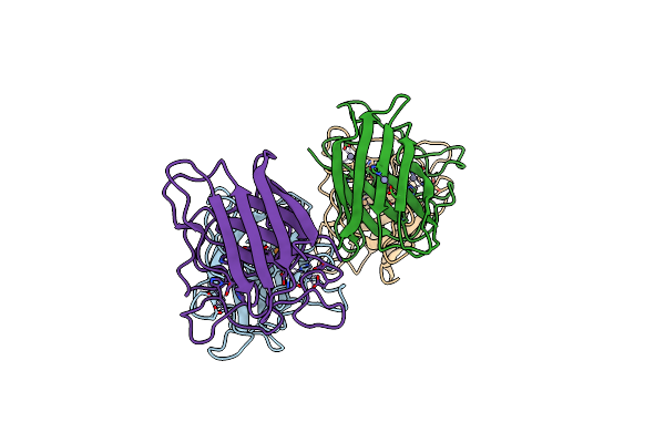 1XTL image