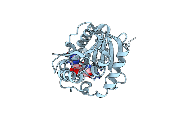 1XTP image
