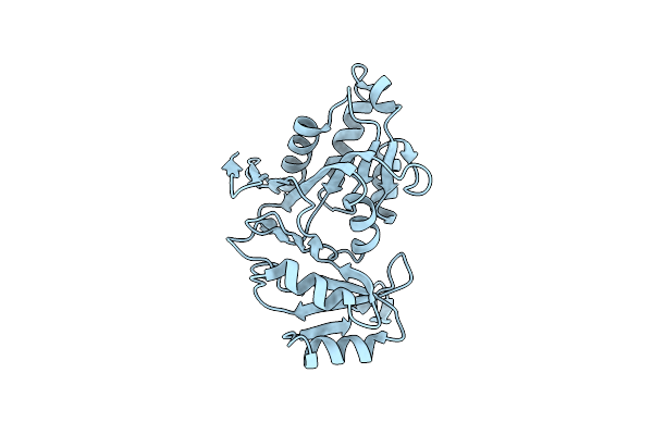 1XTZ image