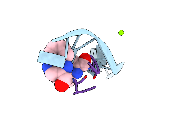 1XVK image