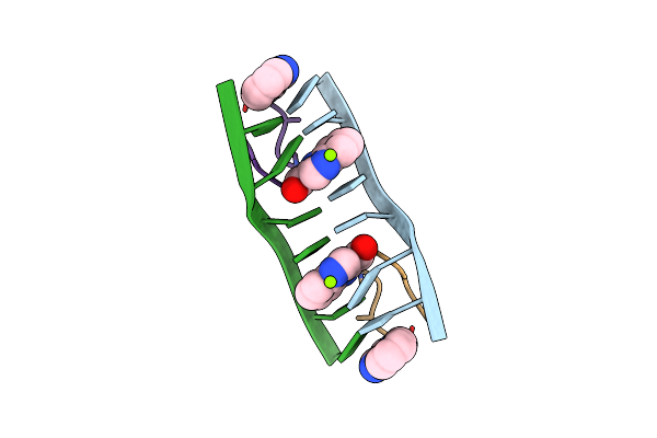 1XVR image