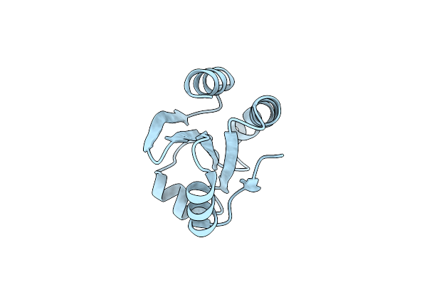 1XWC image