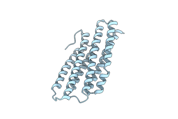 1XWM image