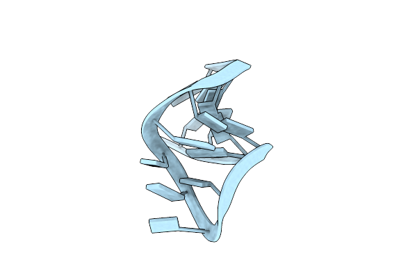 1XWP image