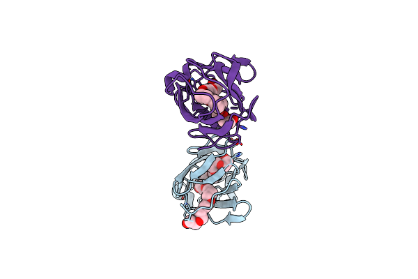 1XWV image