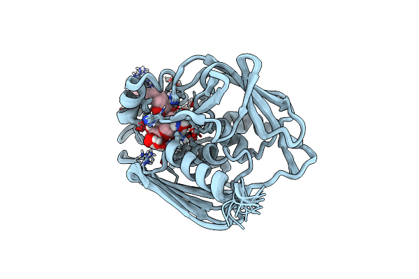 1XXE image