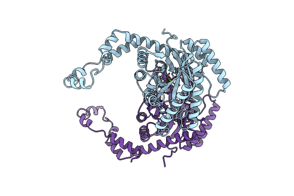 1XYA image