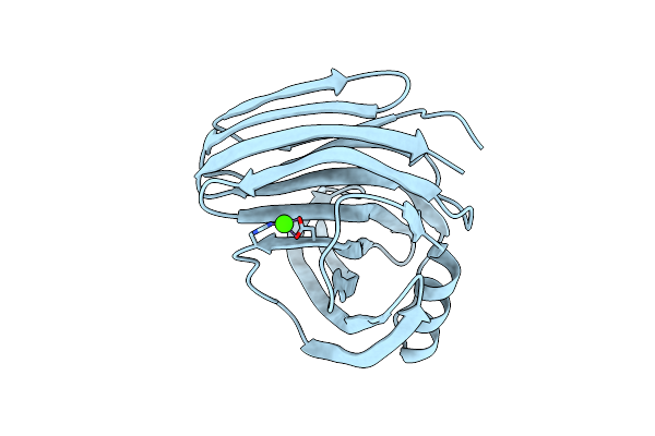 1XYN image
