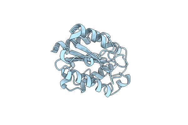 1XZD image