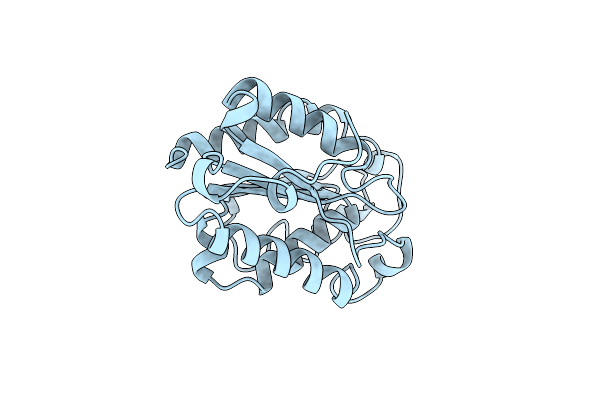 1XZE image