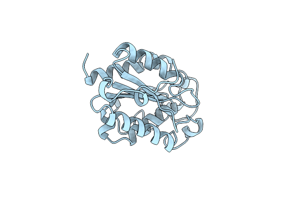 1XZF image