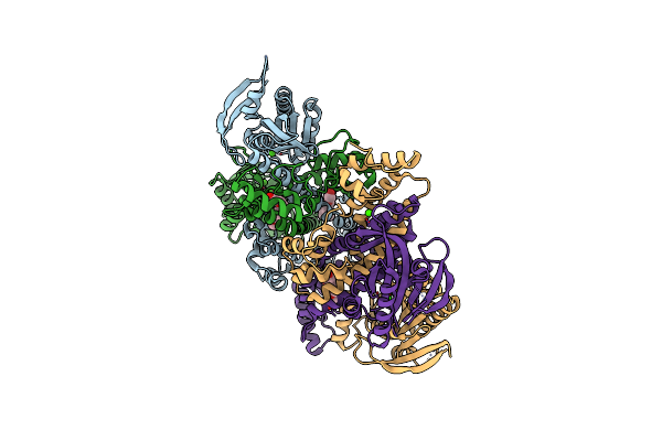 1Y10 image