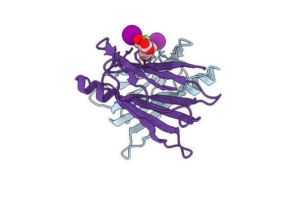 1Y1D image