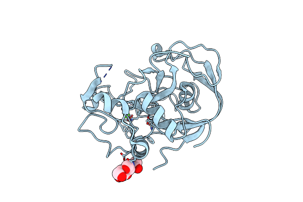 1Y1E image