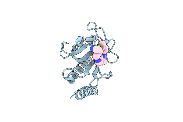 1Y2F image