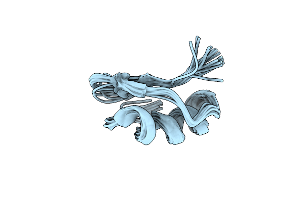 1Y2P image