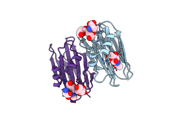 1Y2W image