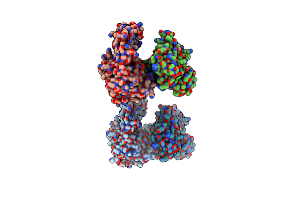 1Y3A image