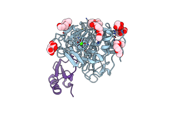 1Y3C image