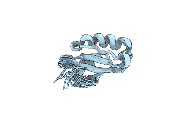 1Y3K image