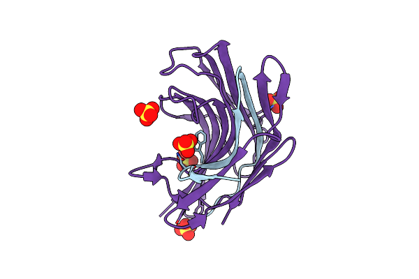 1Y43 image