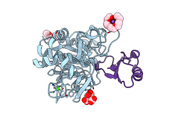 1Y4A image