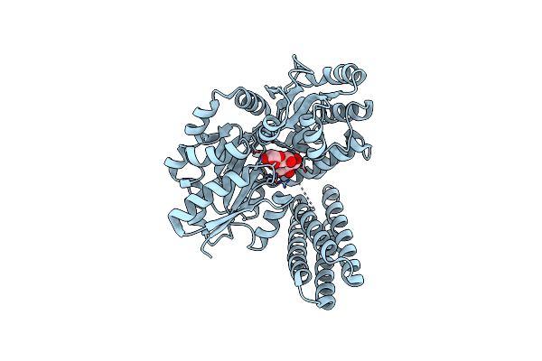 1Y4C image