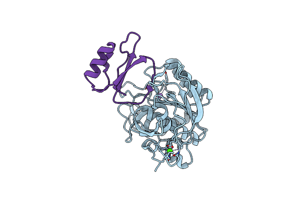 1Y4D image