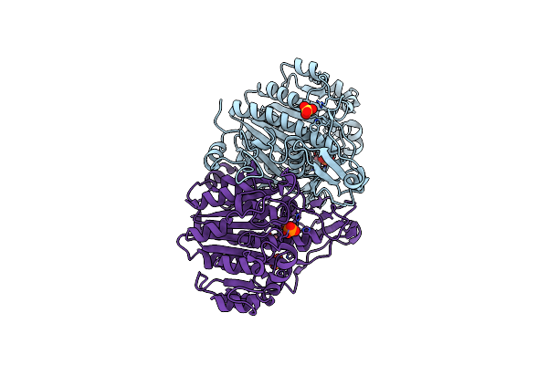 1Y6V image