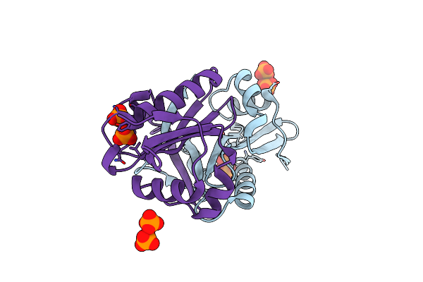 1Y7R image