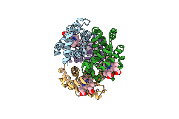 1Y7Z image