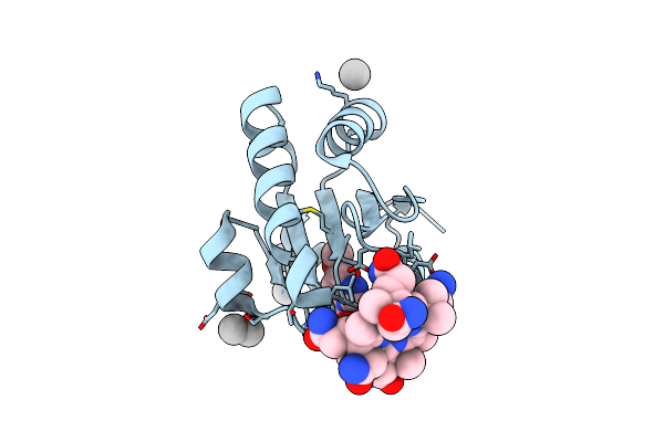 1Y80 image
