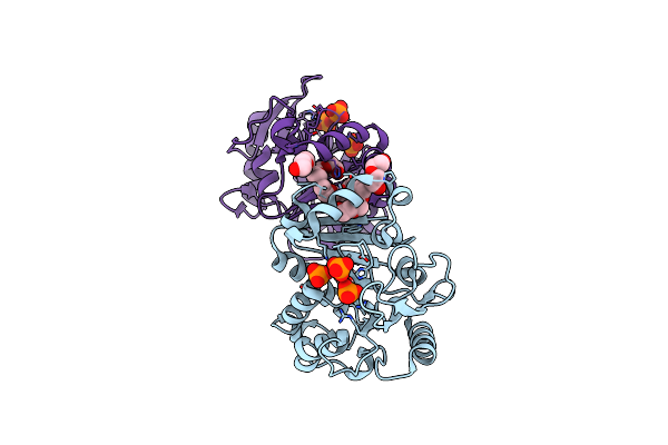 1Y89 image