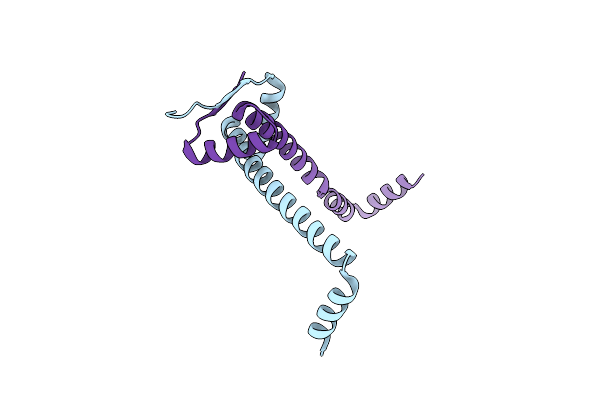 1Y9B image