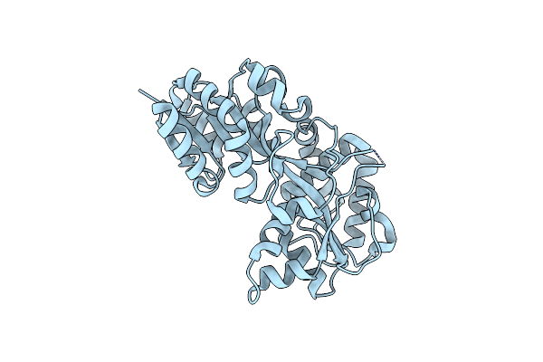 1Y9U image