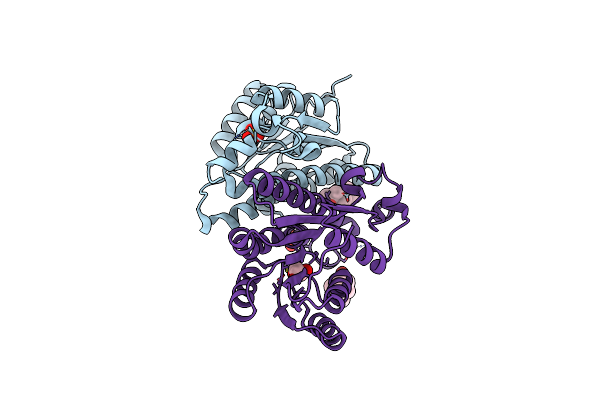1YB1 image