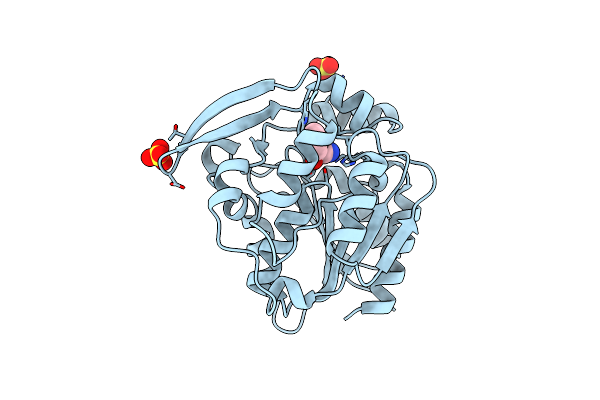 1YB6 image