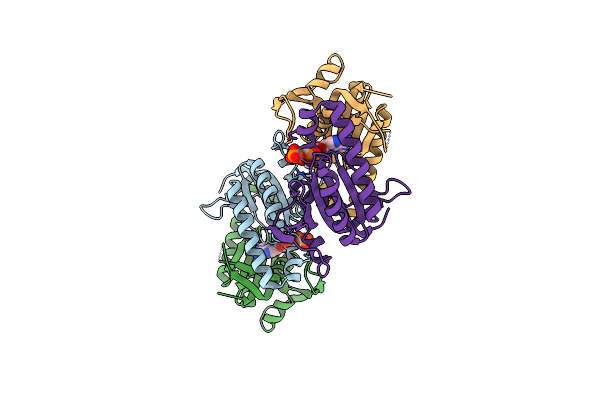 1YBU image